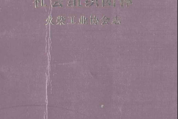 湖南省志社會組織團體火柴工業協會志