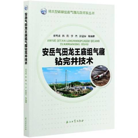 安岳氣田龍王廟組氣藏鑽完井技術