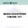 國家電網公司安全技術勞動保護七項重點措施（試行）