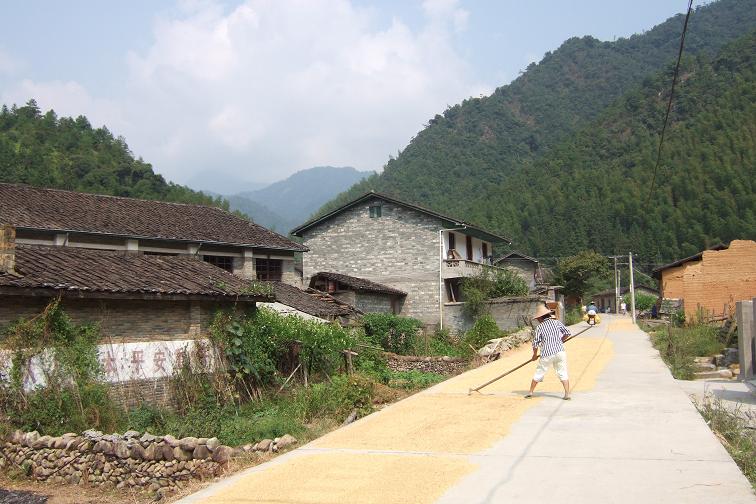 村尾村(福建省南平市武夷山市下轄村)