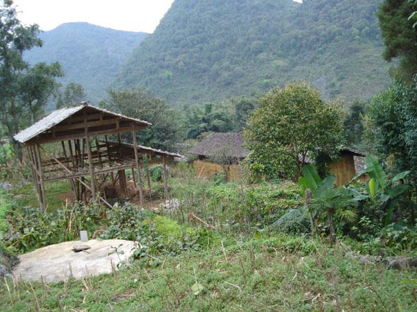 山背後村(雲南文山州西疇縣法斗鄉下轄村)