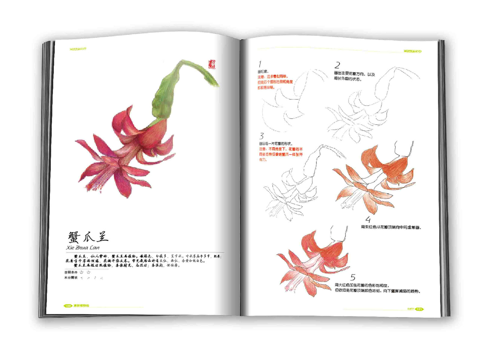 彩色鉛筆一學就會清新植物繪(2014年機械工業出版社出版圖書)