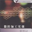 數控加工實訓(臧鳳軍、隋秀梅、於向河編著書籍)