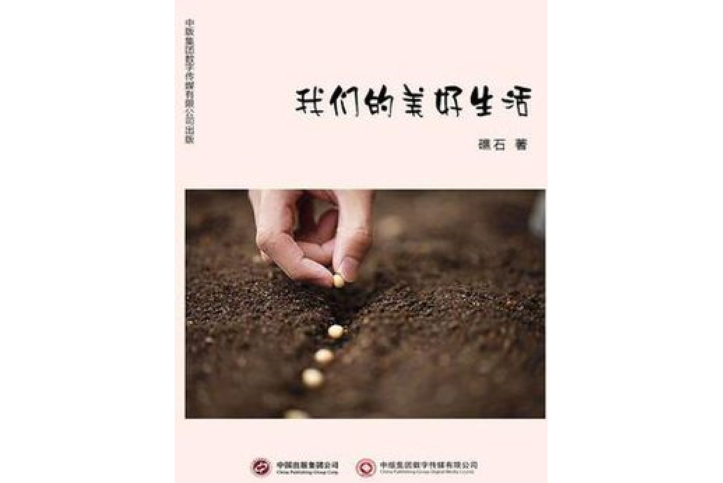 我們的美好生活(礁石著網路小說)