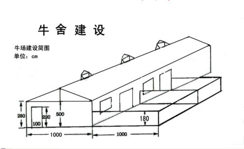 西門塔爾牛(西門塔兒牛)