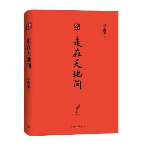 走在天地間(2020年上海三聯書店出版的圖書)