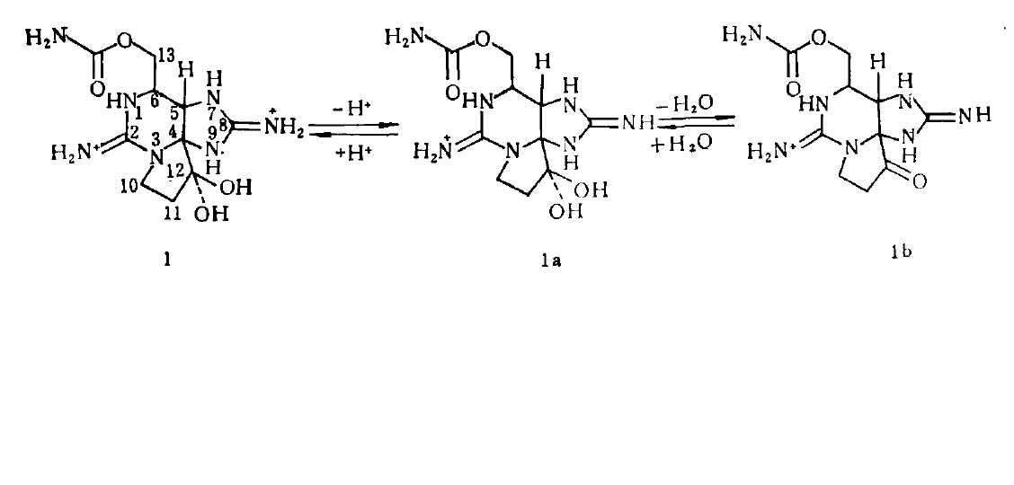 石房蛤毒素異構分子轉化