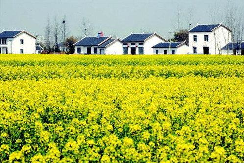 喬口村(江蘇省宿遷市宿豫區關廟鎮喬口村)