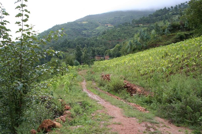 岩頭自然村(雲南省麗江玉龍縣石鼓鎮紅岩村委岩頭自然村)