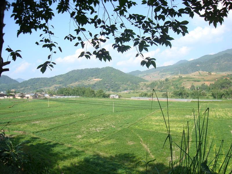 前所村(雲南景東彝族自治縣錦屏鎮前所村)