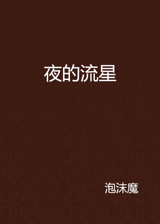 夜的流星(泡沫魔小說)