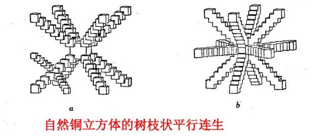 自然銅的樹枝狀平行連晶