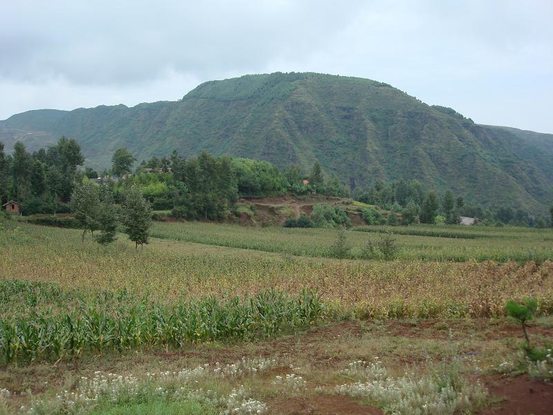 坪子上自然村