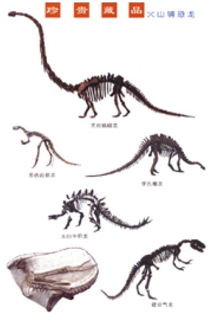 四川自貢恐龍古生物國家地質公園