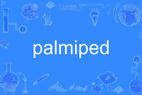 palmiped