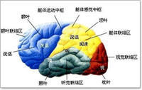 精英特超級速讀記憶訓練軟體