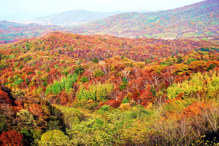 亞布力五花山