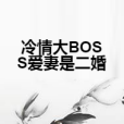 冷情大BOSS愛妻是二婚