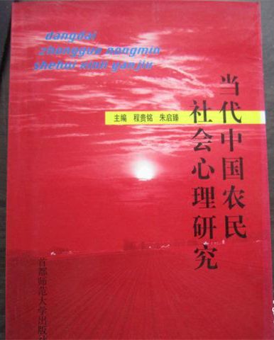 當代中國農民社會心理研究