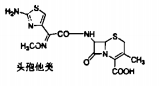 鹽酸頭孢他美