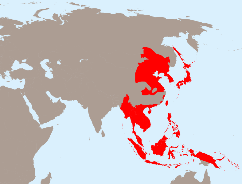 大東亞共榮圈最大範圍