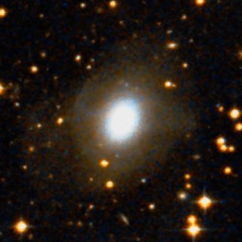 NGC 2865