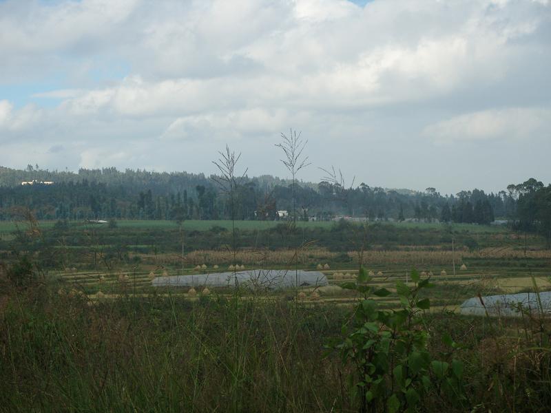 老彎山村