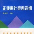 企業審計案例選編