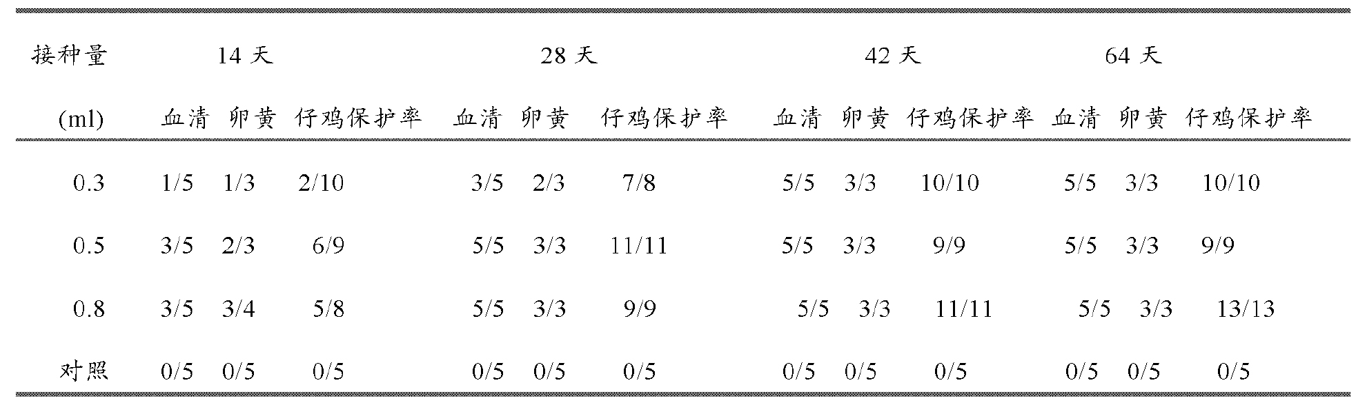 雞傳染性法氏囊病超強毒的細胞適應株及其套用