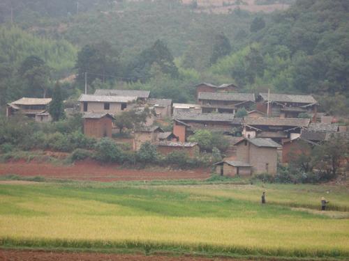 岔路村(雲南省彌勒縣巡檢司鎮烏稠村委會岔路村)