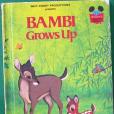 Bambi Grows Up Disneys Wonderful World of Reading