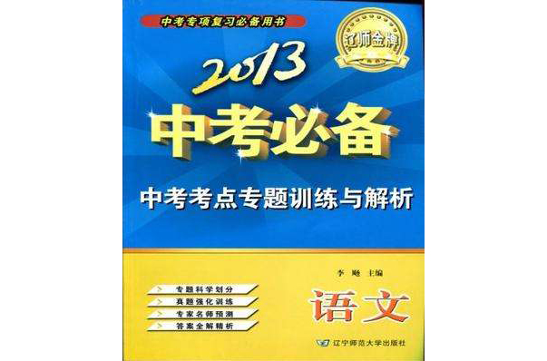 2013-語文-中考必備-中考考點專題訓練與解析