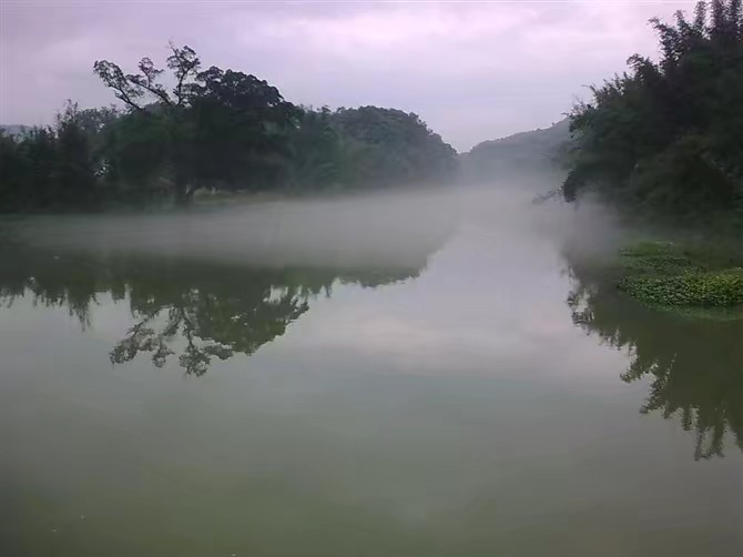 楓灣河塘口大流坑段