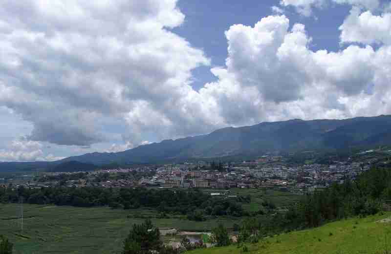 美麗的維西緣毛楊風景