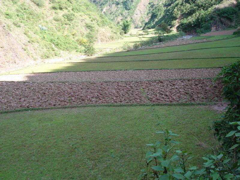 杞岔拉村