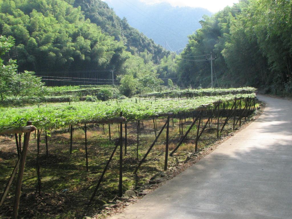 坪田村(湖南省郴州市蘇仙區白露塘鎮下轄村)