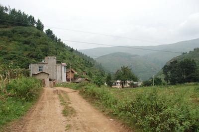 進村道路