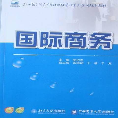 國際商務(2010年北京大學出版社出版的圖書)