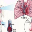 肺動脈總乾及分支狹窄的手術治療