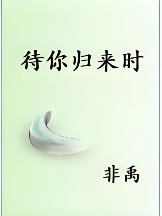 待你歸來(非禹創作的輕小說作品)