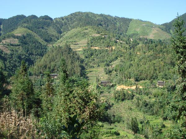 地棚村(雲南省文山州西疇縣法斗鄉地棚村)