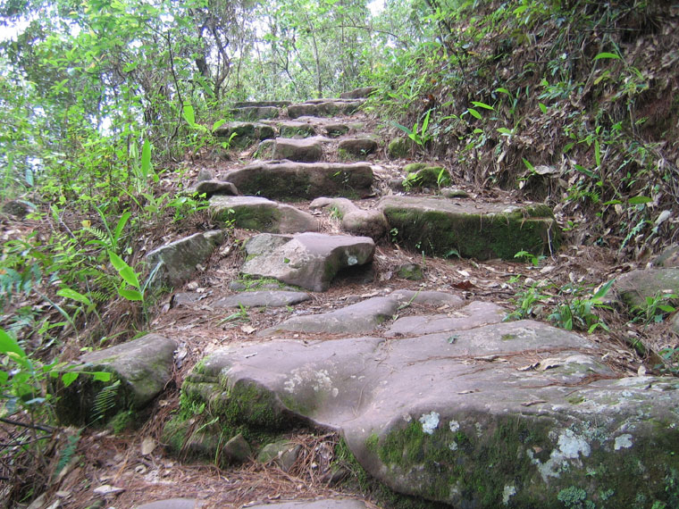 普洱茶馬古道情歌