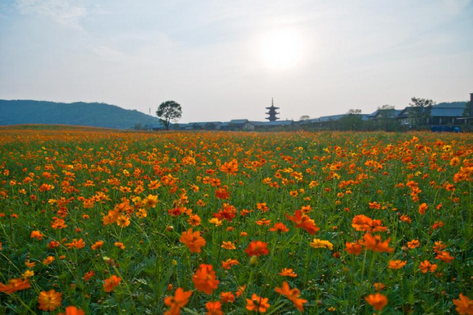 拈花灣