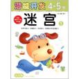 小小孩潛能開發叢書：迷宮4-5歲