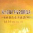 安全高效礦井安全保障技術