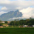 石馬山村(湖北省羅田縣匡河鎮石馬山村)