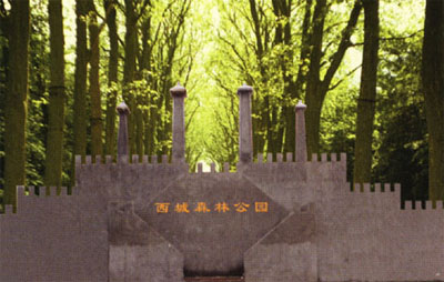 舞陽西城森林公園