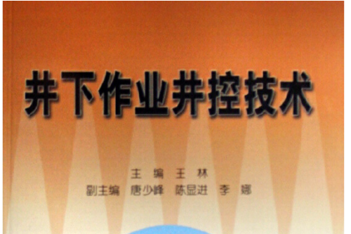 井下作業井控技術(2007年石油工業出版社出版圖書)