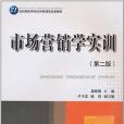 市場行銷學實訓(2010年華中科技大學出版社出版的圖書)