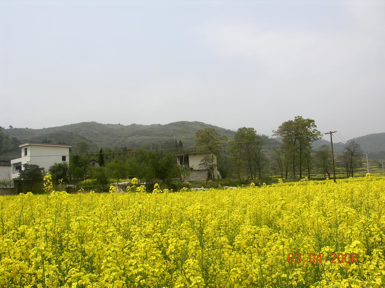 藍田村(福建省泉州市德化縣​葛坑鎮藍田村)